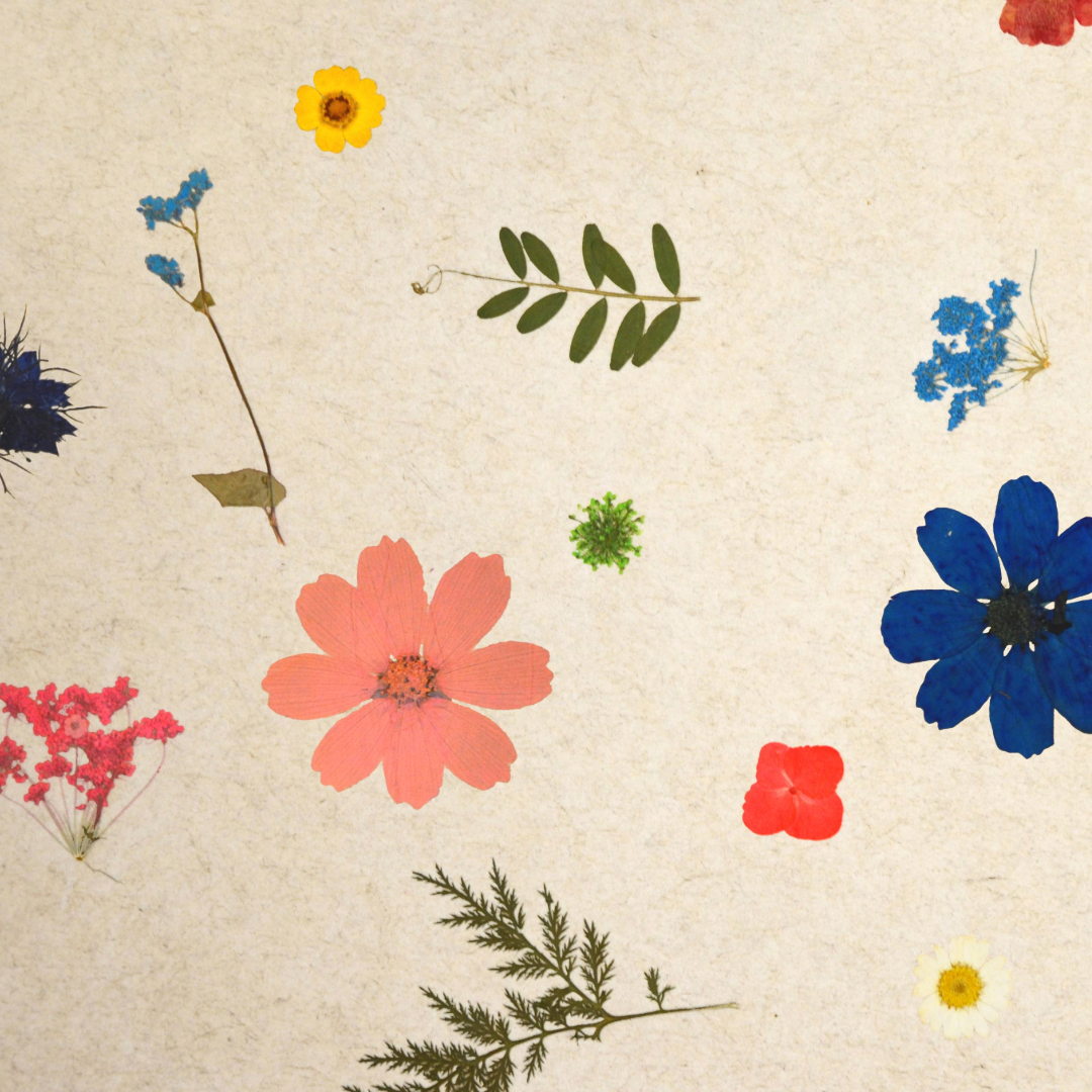 Naturtapete „SUPERBLOOM“ auf Flachsvlies – Farbintensive Blütenmischung aus Hortensien & Gänseblümchen, lichtdurchlässig & nachhaltig, florale Wandgestaltung-ORGANOID®