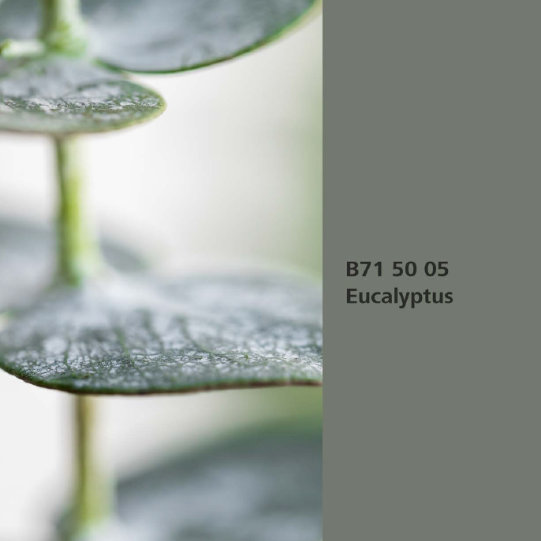 Natur Wohnen Interior Colours – Farbton „Eucalyptus“ (Eukalyptus) B71 50 05 -Innenwandfarbe 