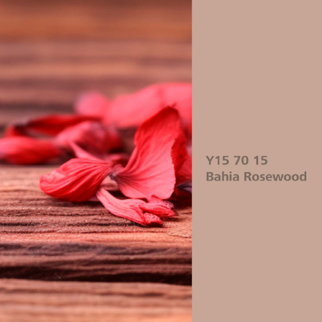 Natur Wohnen Interior Colours – Farbton „Bahia Rosewood“ (Rosenbaum) Y15 70 15 - Lack 
