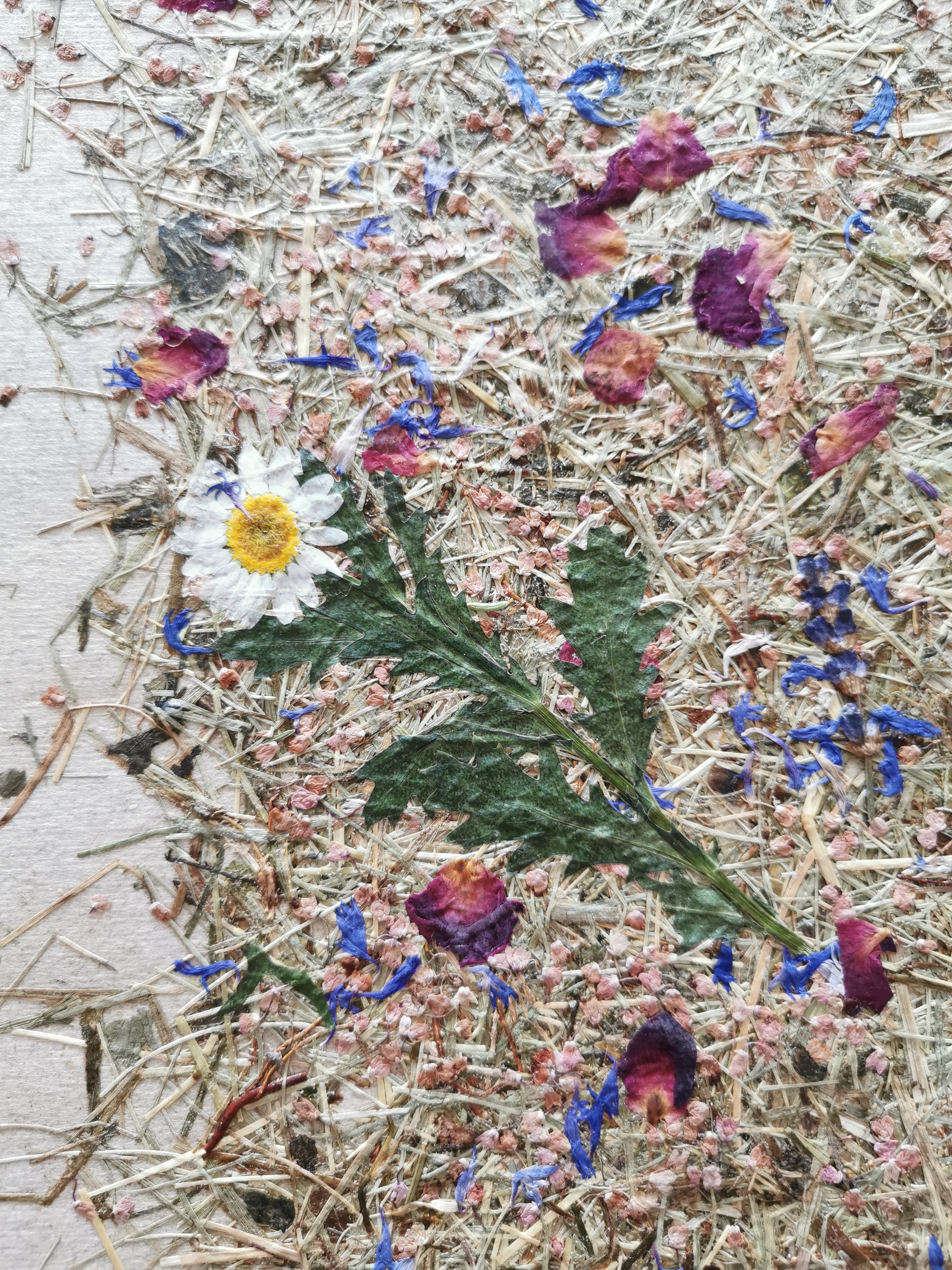 Wandbild Pflatschn, Almwiesn mit Blütenblättern 30x40cm