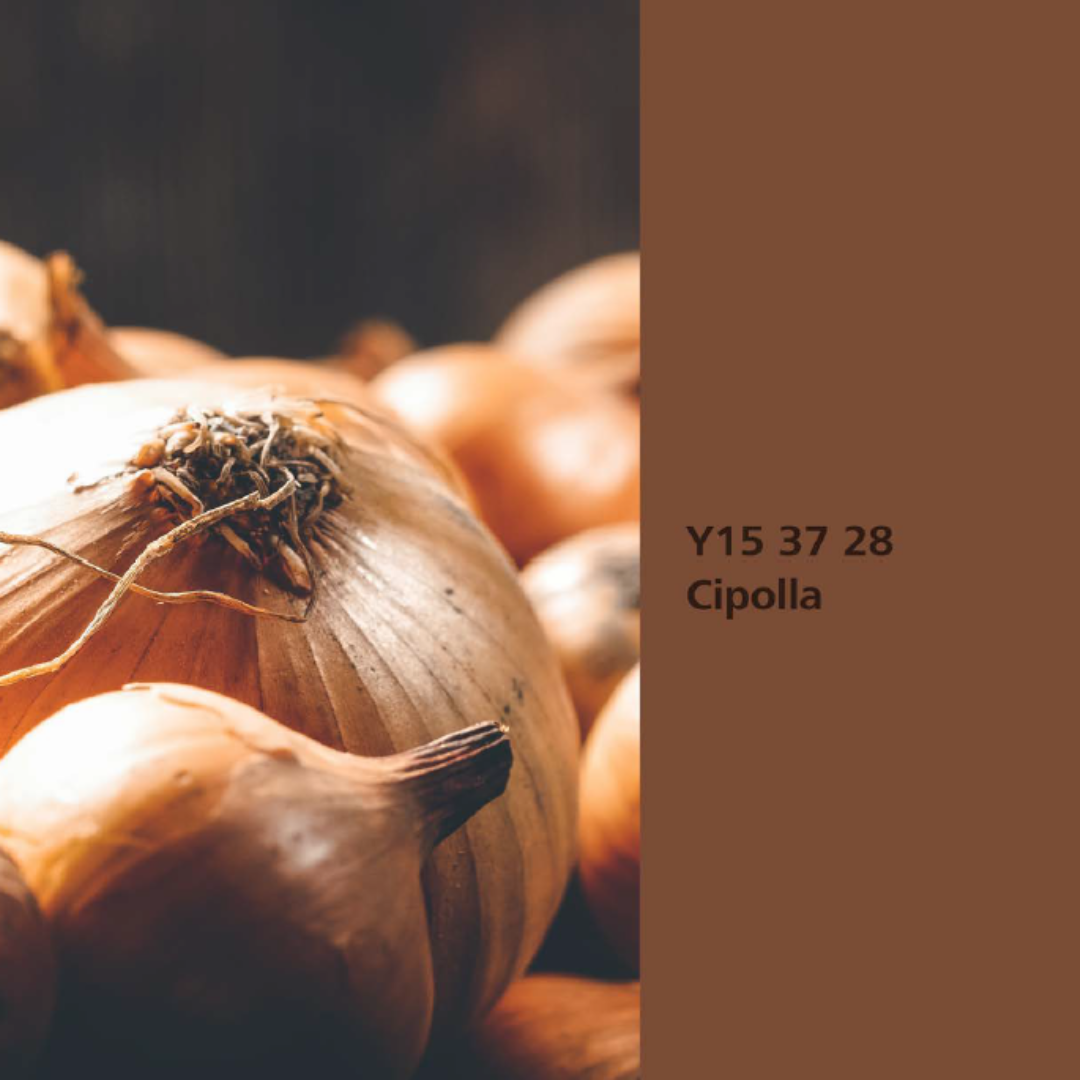 Natur Wohnen Interior Colours – Farbton „Cipolla“ (Zwiebel) Y15 37 28 -Innenwandfarbe