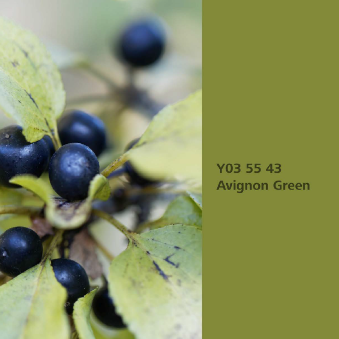 Natur Wohnen Interior Colours – Farbton „Avignon Green“ (Purgier-Kreuzdorn) Y03 55 43 - Lack