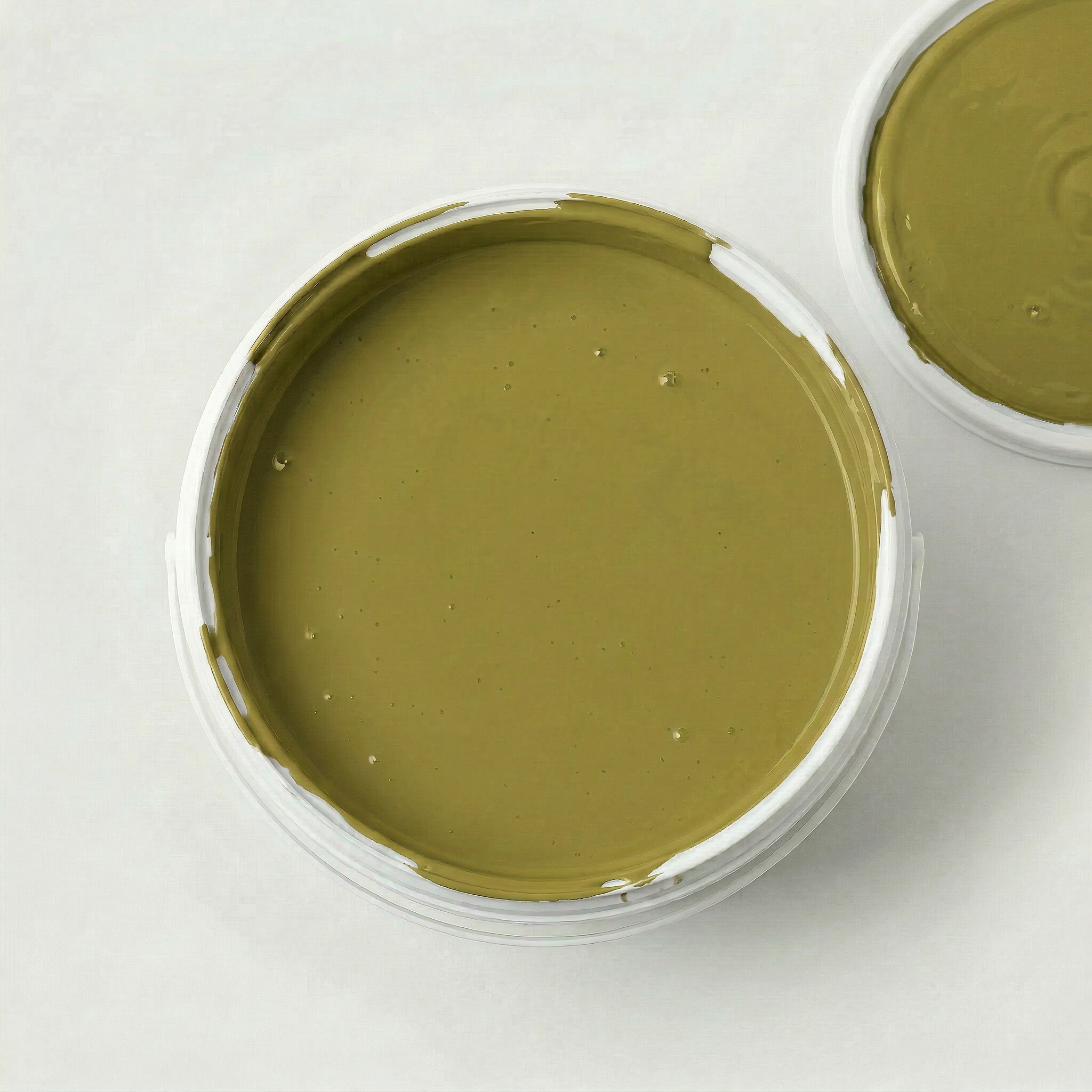 Natur Wohnen Interior Colours – Farbton „Avignon Green“ (Purgier-Kreuzdorn) Y03 55 43 - Innenwandfarbe