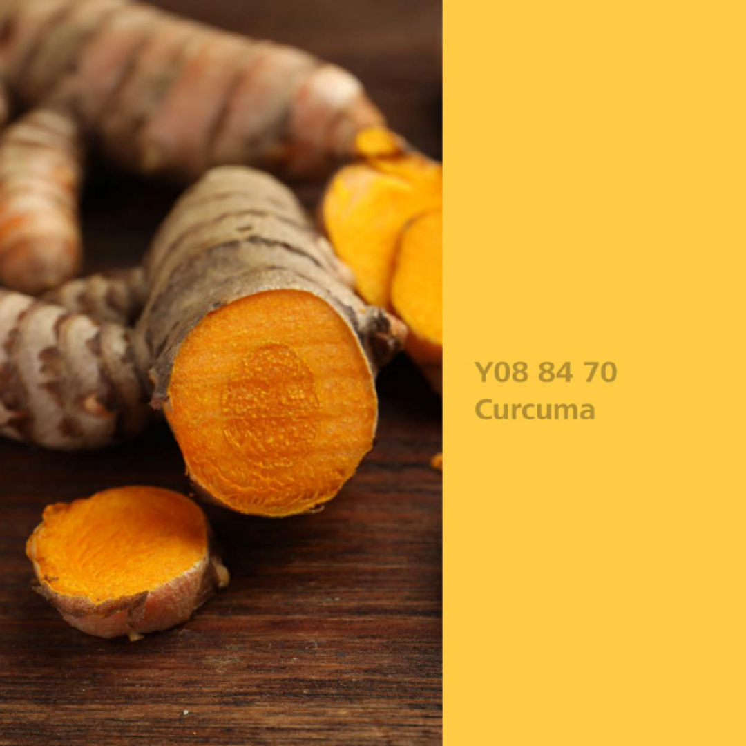 Natur Wohnen Interior Colours – Farbton „Curcuma“ (Kurkumawurzel) Y08 84 70 -Innenwandfarbe 