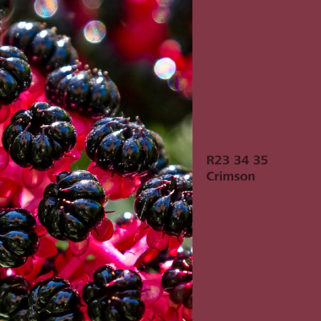 Natur Wohnen Interior Colours – Farbton „Crimson“ (Kermesbeere) R23 34 35 -Innenwandfarbe