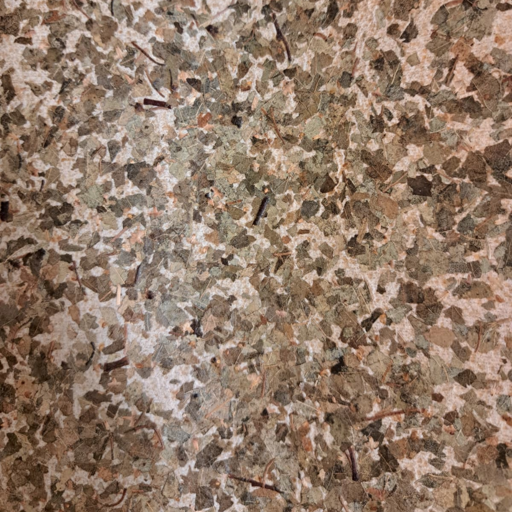 RESTPOSTEN Birkenblätter Naturoberfläche (hohe Dichte) auf Selbstklebender Folie - Echtes Naturdesign für Wand & Möbel