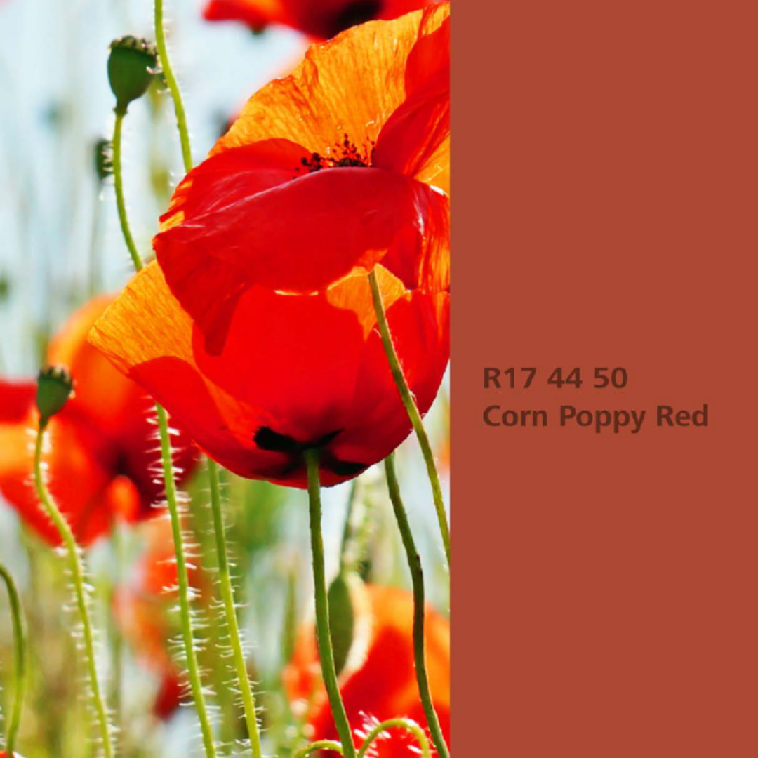 Natur Wohnen Interior Colours – Farbton „Corn Poppy Red“ (Klatschmohn) R17 44 50 -Innenwandfarbe