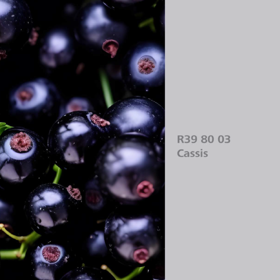 Natur Wohnen Interior Colours – Farbton „Cassis“ (Schwarze Johannisbeere) R39 80 03 -Innenwandfarbe 
