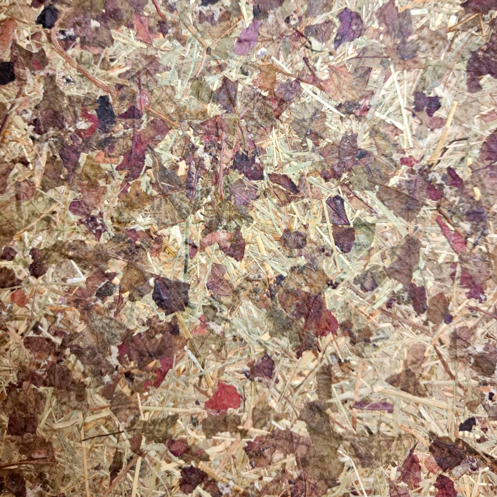 RESTPOSTEN Alpenwiese-Heutapete mit Weinblättern (hohe Dichte) auf Flachsvlies