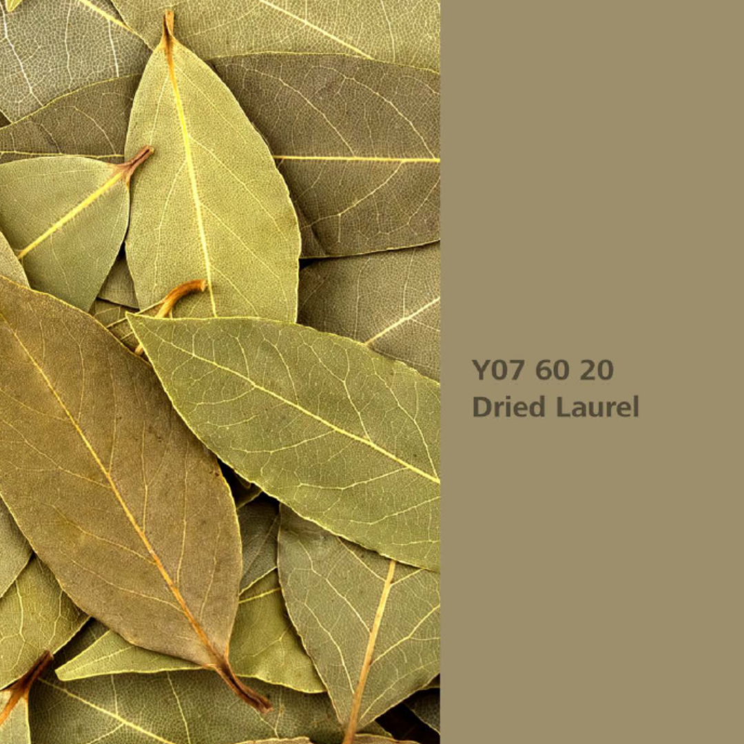 Natur Wohnen Interior Colours – Farbton „Dried Laurel“ (Lorbeer) Y07 60 20 -Innenwandfarbe 