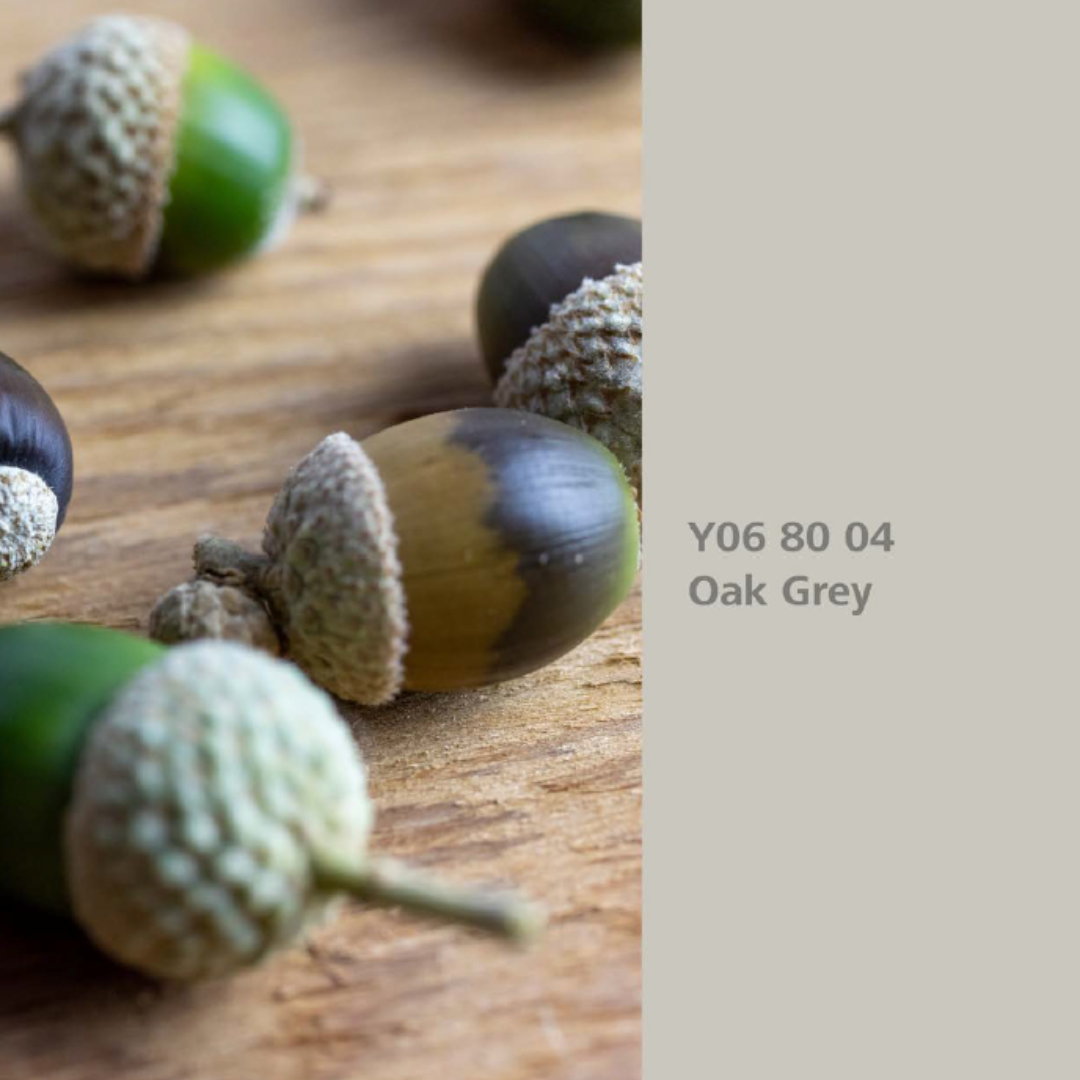 Natur Wohnen Interior Colours – Farbton „Oak Grey“ (Stieleiche) Y06 80 04 -Innenwandfarbe