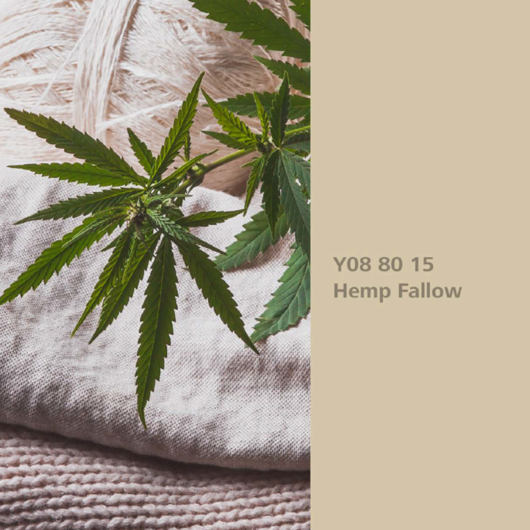 Natur Wohnen Interior Colours – Farbton „Hemp Fallow“ (Hanf) Y08 80 15 -Innenwandfarbe