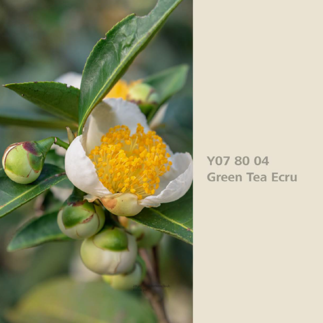 Natur Wohnen Interior Colours – Farbton „Green Tea Ecru“ (Grüner Tee) Y07 80 40 - Lack  