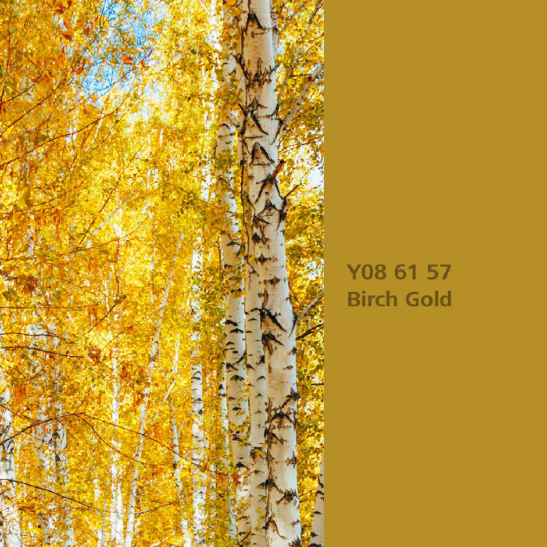 Natur Wohnen Interior Colours – Farbton „Birch Gold“ (Birke) Y08 61 57 - Lack