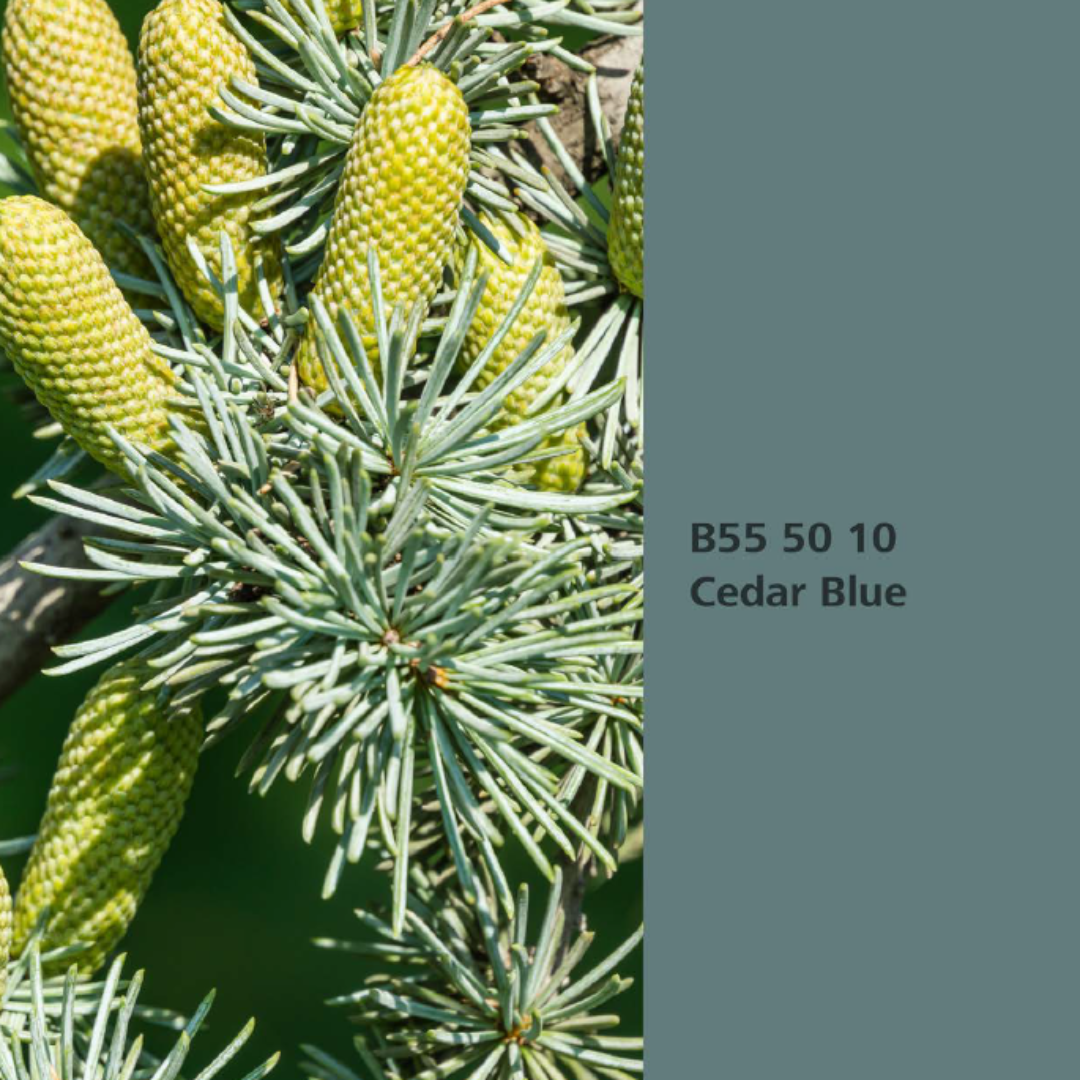Natur Wohnen Interior Colours – Farbton „Cedar Blue“ (Atlaszeder) B55 50 10 -Innenwandfarbe  