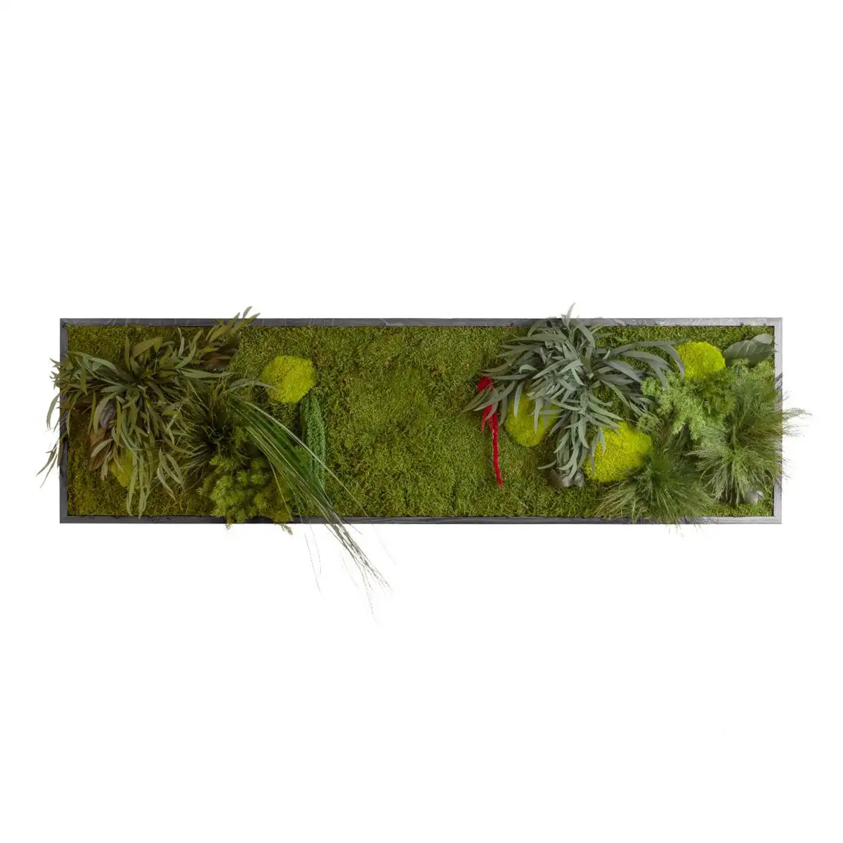Pflanzenmoos Wandbild 40x140cm - rechteckig